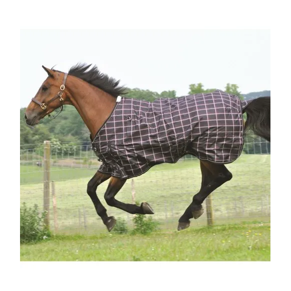 600D Polyester Printed Turnout Winter Rug