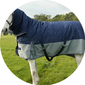 Horse Rain Rugs