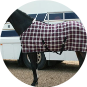 Horse Summer Rugs